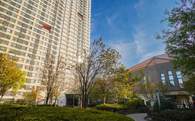 Super Hive International Youth Community 4