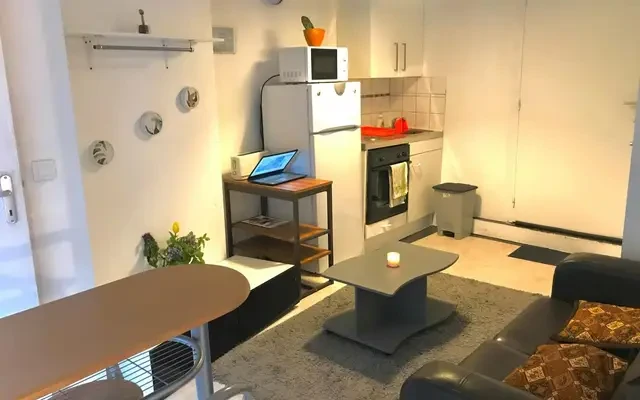 apartment near Cours Charlemagne 1