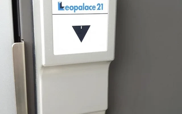レオネクストステラ 1