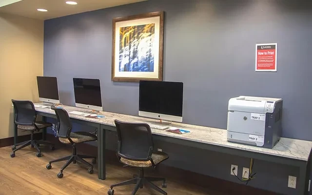 University Village Temple 4