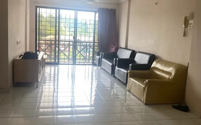 Evergreen Acorn & Hazel 3