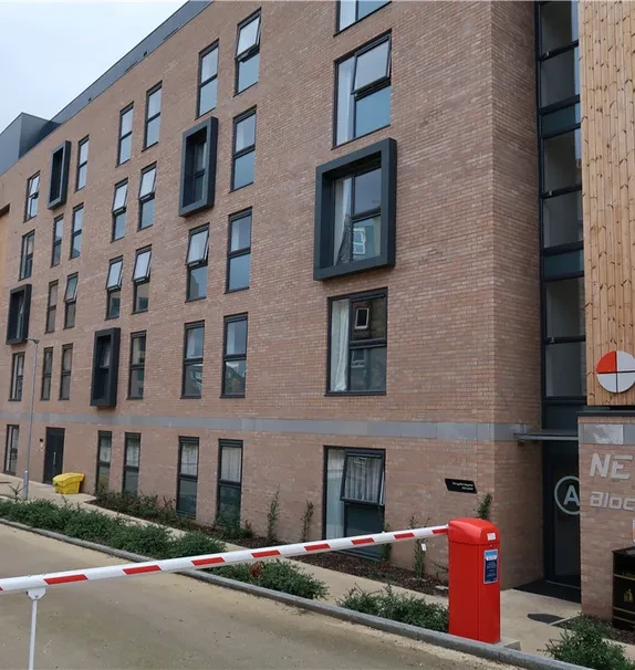 Downing New Park