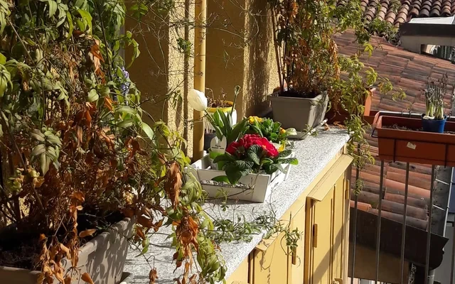 Apartment in Via della Rocca, Torino for 30 m² 0