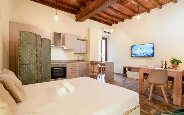 [Torino Centro] Rosine Loft 0