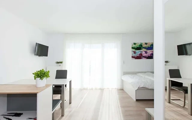 Penthouse Apartment 3