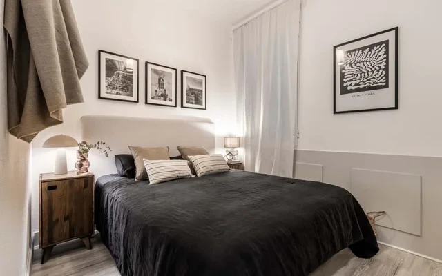 Hayedo - 3 bedroom in Chamartin 4