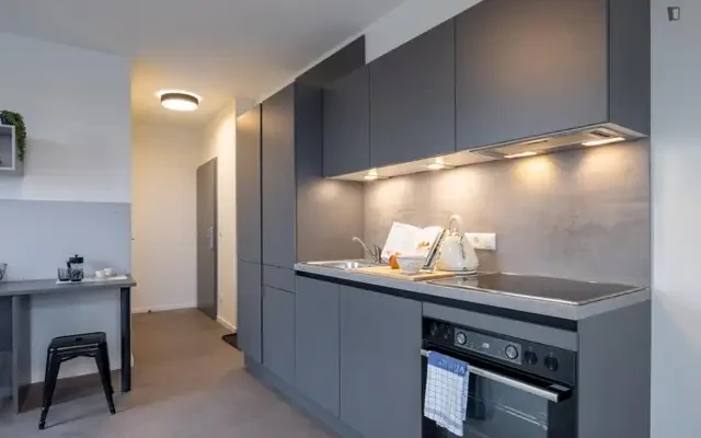 residence near 20 Schönaugürtel - ที่พักนักศึกษาในกราซ