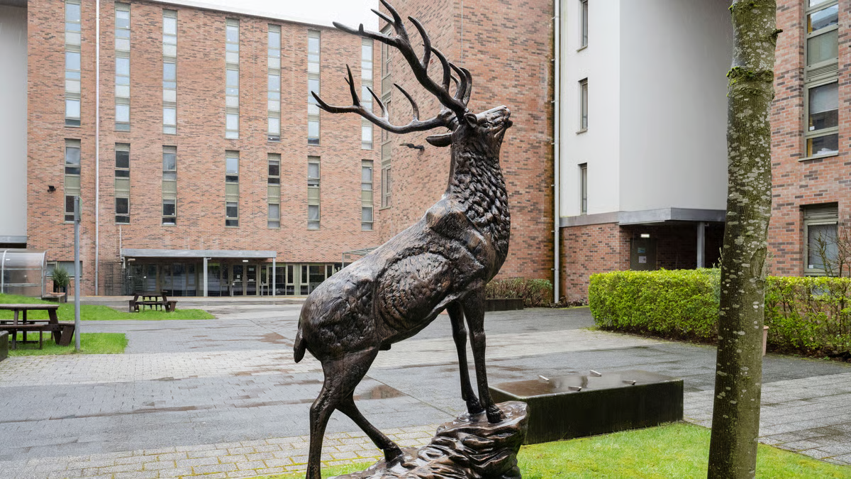 Foundry Courtyard photo 5