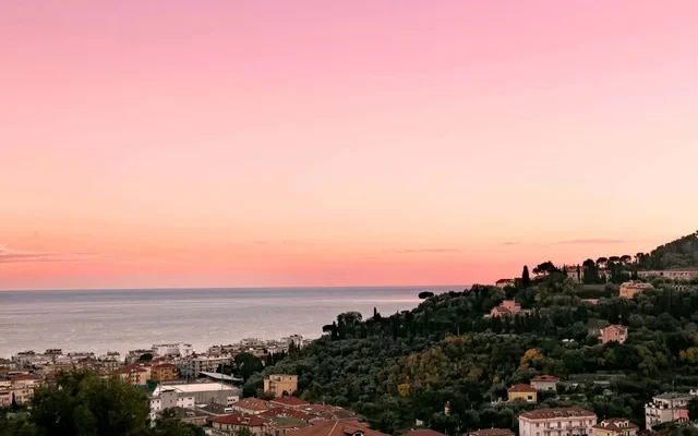 Panorama Suite 1