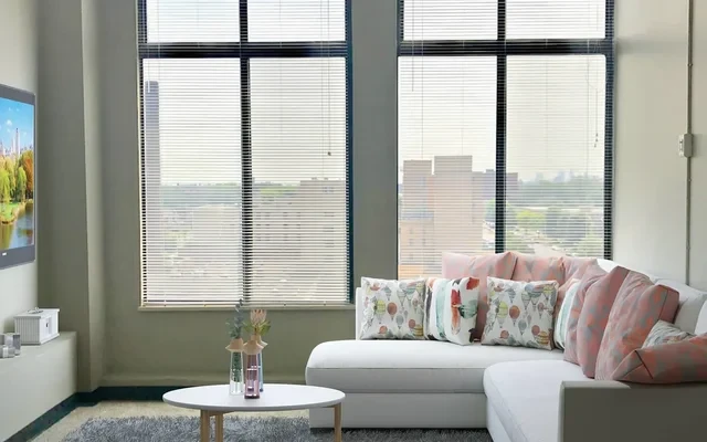 Delmar Loop Apartments 3