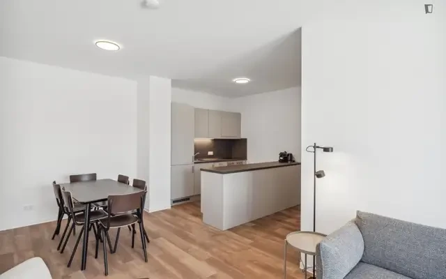 apartment near Waagner-Biro Straße - ที่พักนักศึกษาในกราซ