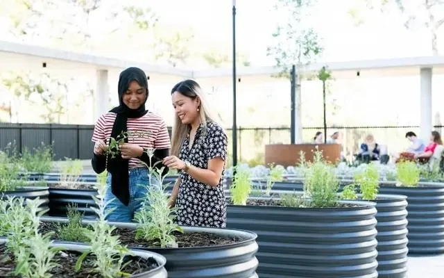 UniLodge at Curtin - Twin Dolphin Hall 4