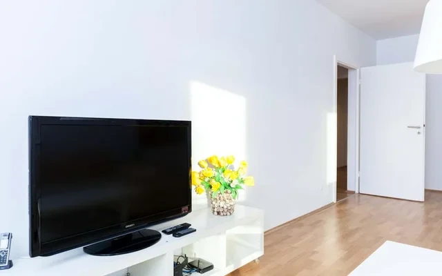 Stylish & spacious apartment near the river 3