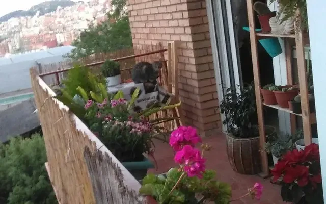 apartment in Sant Genís Dels Agudells   Montbau (Horta   Guinardó) 0