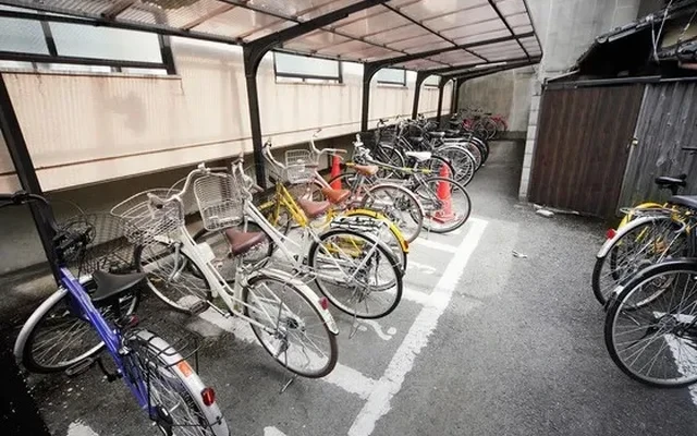 レバンテショウゴイン 3