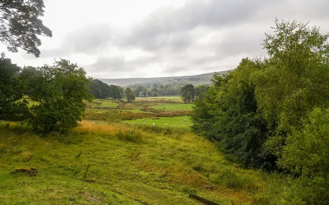 Ridgeway Cottage at Lovelady Shield 1