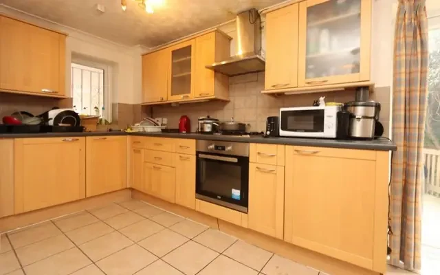 house in Isle of Dogs 2