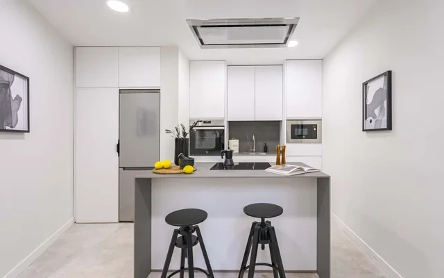 Ray - 3 bedrooms and terrace in Goya 4