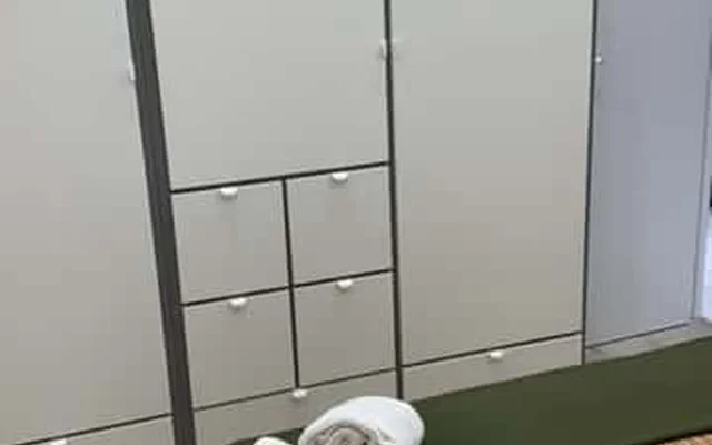 PISO ILUSTRACION - MADRID 2