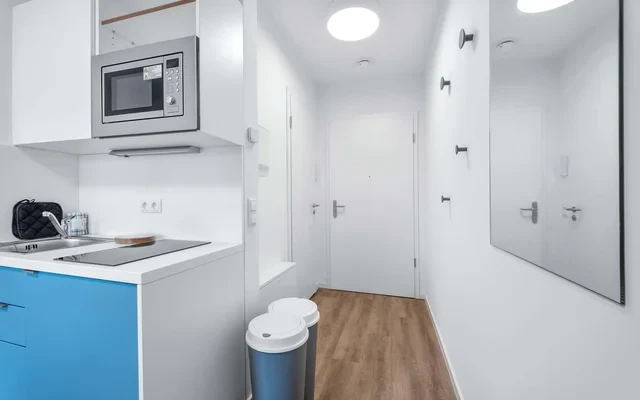 Fully furnished studio with balcony 4