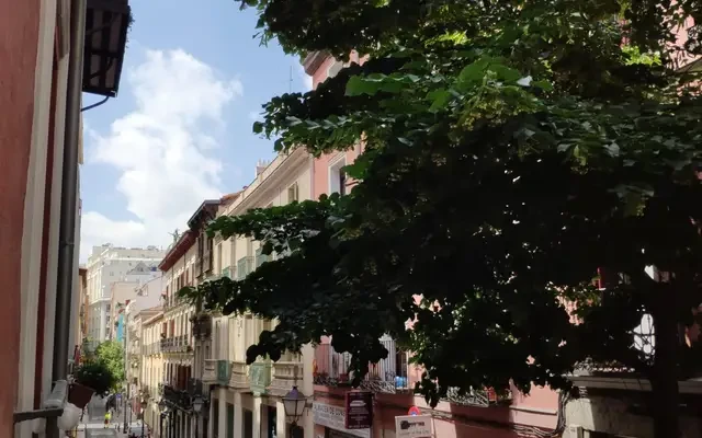 studio in Malasaña and the University area (Central Madrid) 0