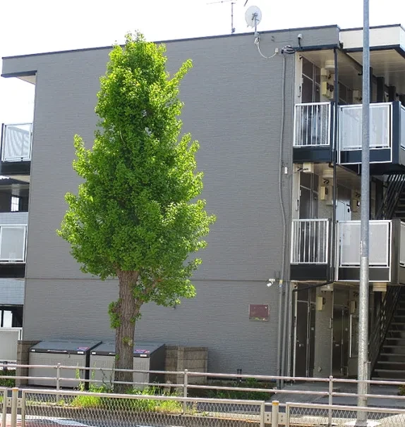 レオパレス拝島町Ⅱ