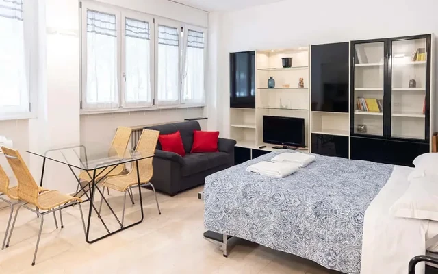 Accogliente Loft in Zona Monumentale/Cenisio 0
