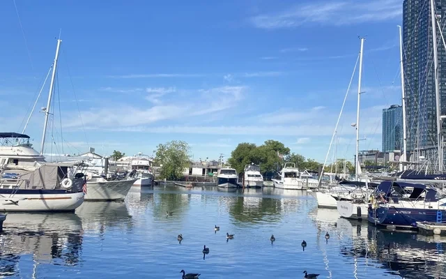 Hudson Pointe 221 3