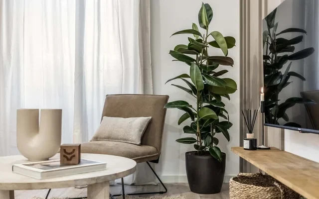 Marmo - 2 bedrooms in Arapiles 1