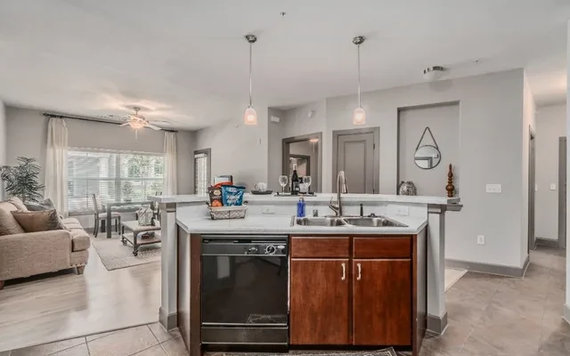 District at Greenville Apartments 4