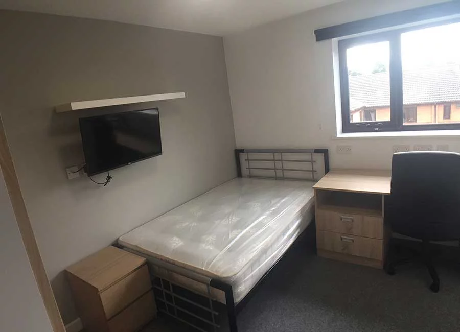 Halls B: Standard Studios