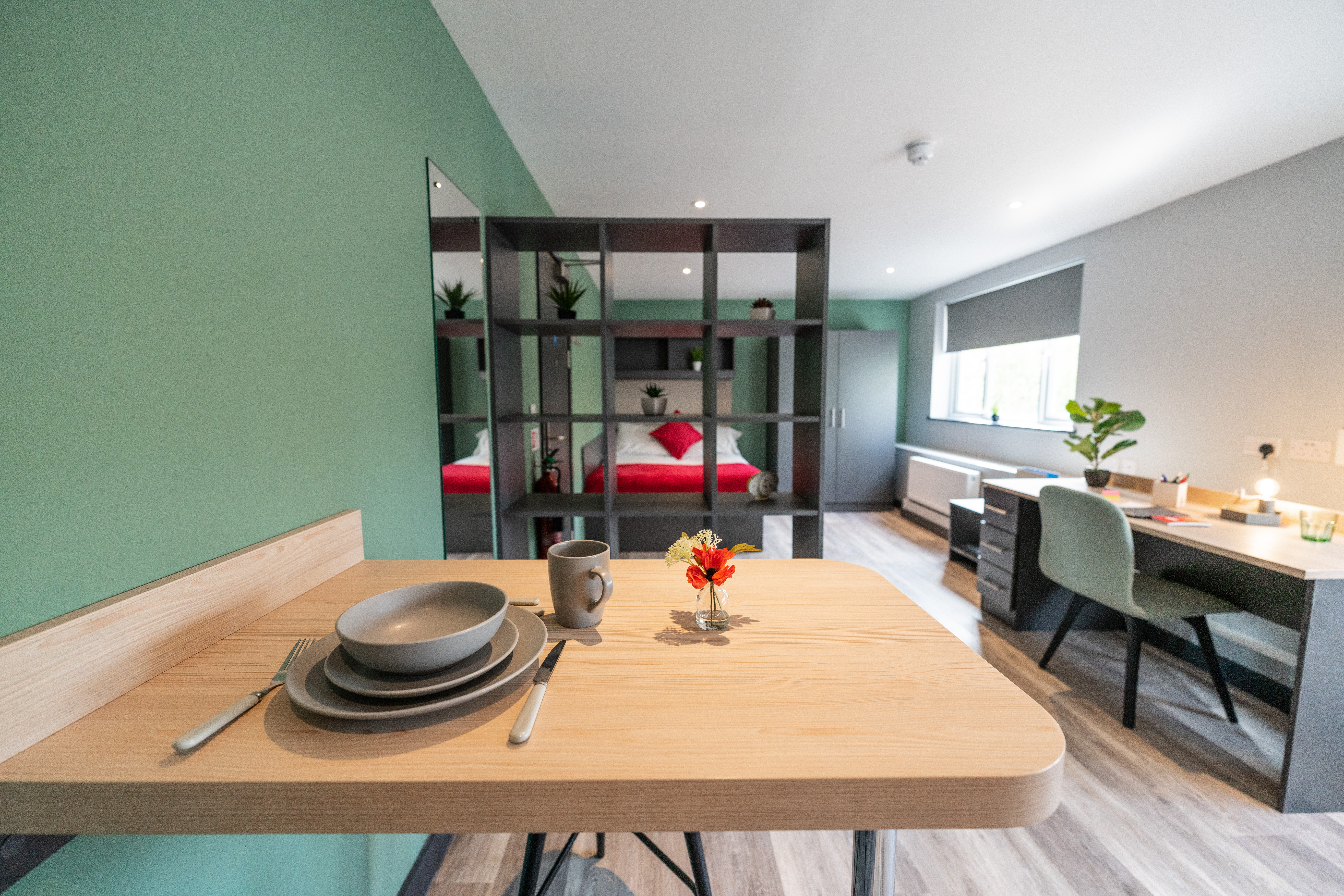 Superior Deluxe Studio