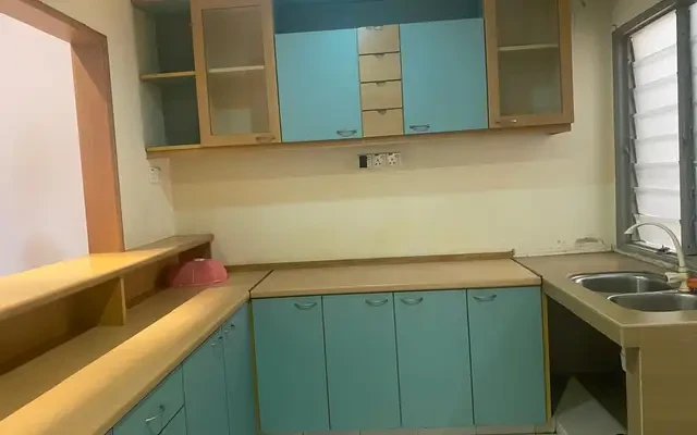 Evergreen Acorn & Hazel 2