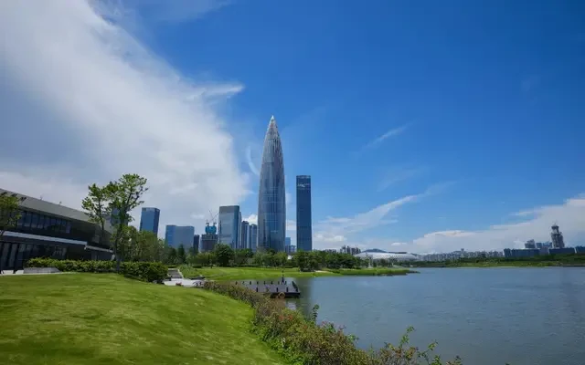 TRUEGO HOTEL X (Shenzhen Bay Port Branch) 4