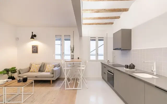 studio in Sant Pere, Santa Caterina i la Ribiera (Ciutat Vella) 2