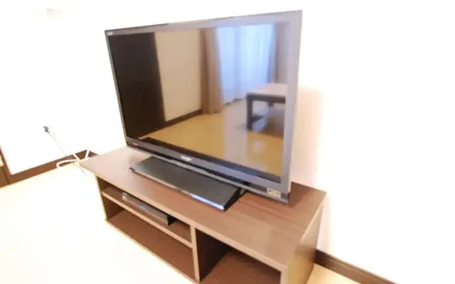 レオネクストプランドール - Ogawa-machi Hiki-gun student accommodation - 204号房间(带独立厨房)