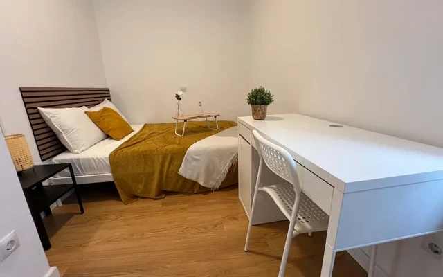 Apartment in the center of Madrid with 3 bedrooms and terrace  (4H0) 4