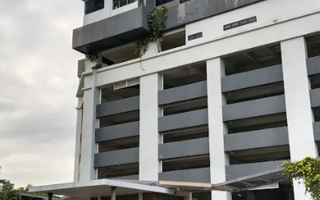 The Conezion, Condominium 1