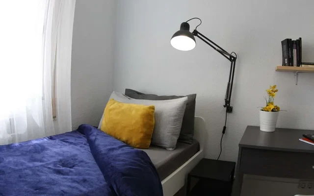 CAM229 3