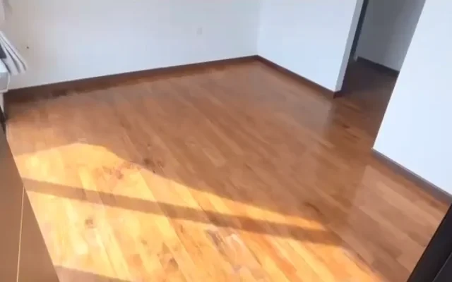 Viva Vista - L 0