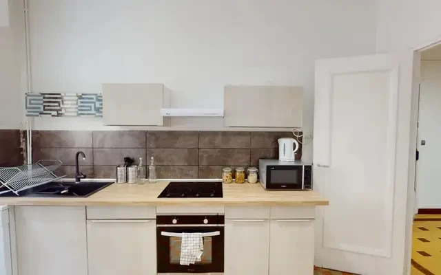 apartment near Quai Perrache 4