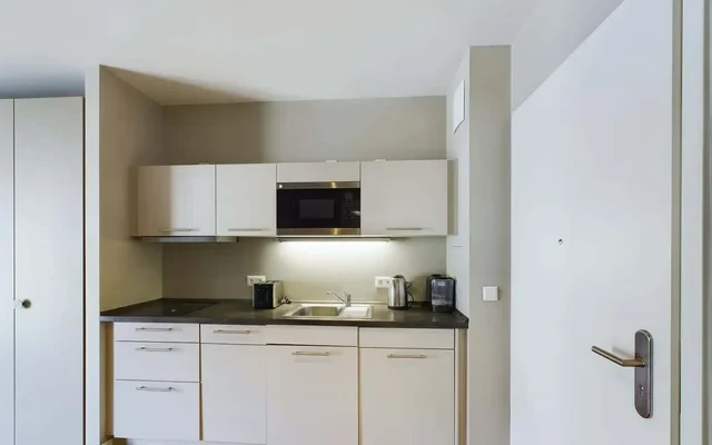 Fully-furnished studio apartment in Koepenick 1