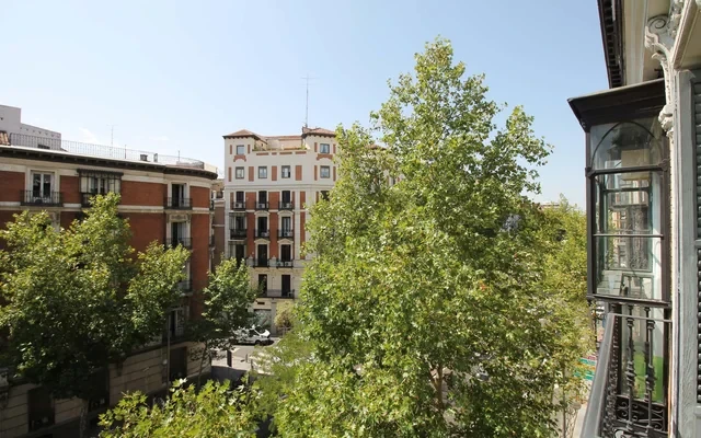 Studio Calle Sagasta 2