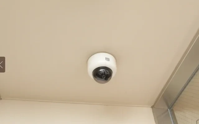 リュミエールカツラ 3