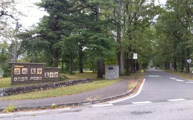 レオパレスひまわり 2