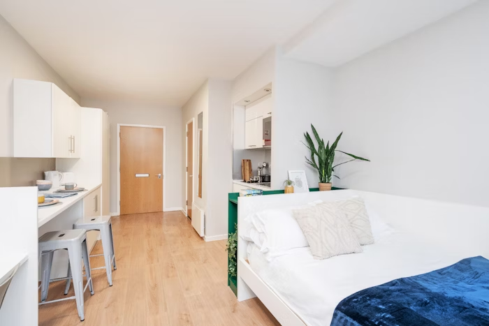 Studio - Silver plus