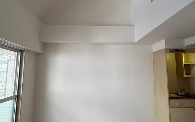 Ruemesosolofur Shirakihara 603 4