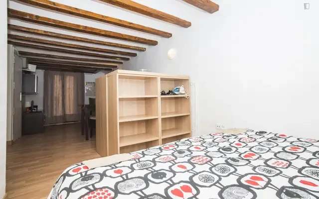 Bright studio close to the Arc de Triomf metro station 0