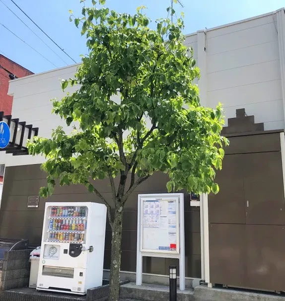 レオパレスアーク