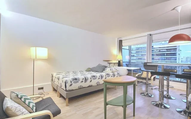 Furnished Studio Apartment for Rent - 30m² - Business - Paris 0